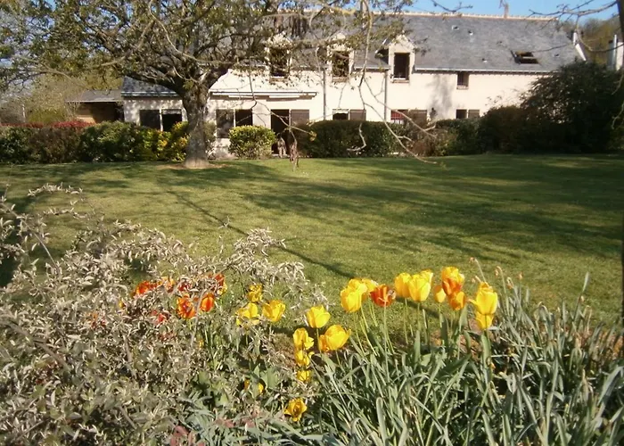 Vakantiehuis Spacieux Avec Billard, Cheminee & Terrasse, Pres De La Foret De Berce, Wi-fi & Activites Nature - Fr-1-410-337 *